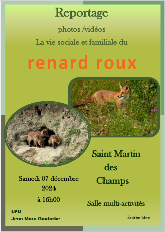 projection Le renard roux