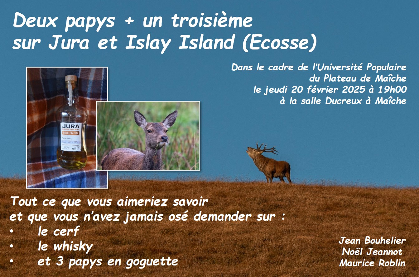 conference-maiche-cerf