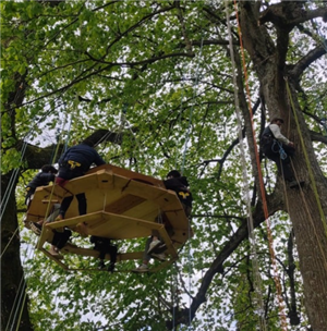 Apéro perché dans les arbres à Choye 