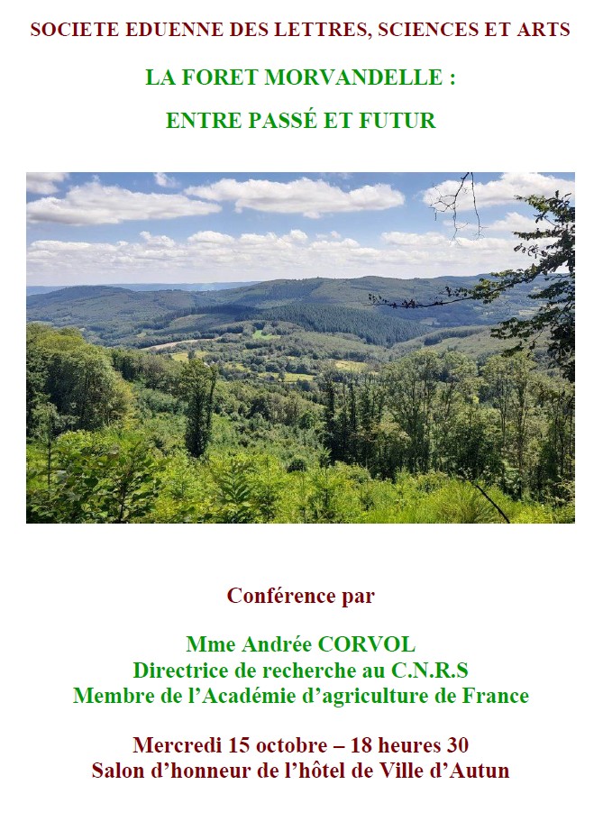 Capture d’écran 2025-09-26 145935