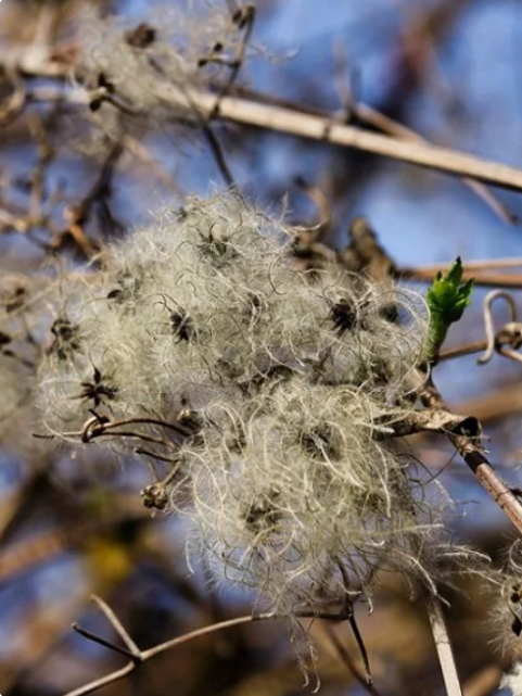 Capture d'écran 2025-09-26 152517