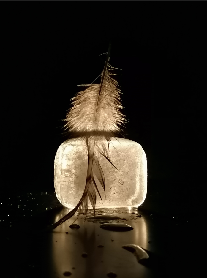 Exposition "Paysages intimes"