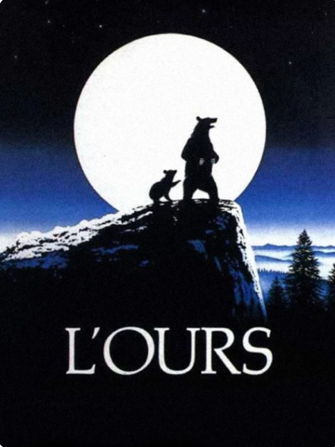 Cinéma plein air : l'Ours