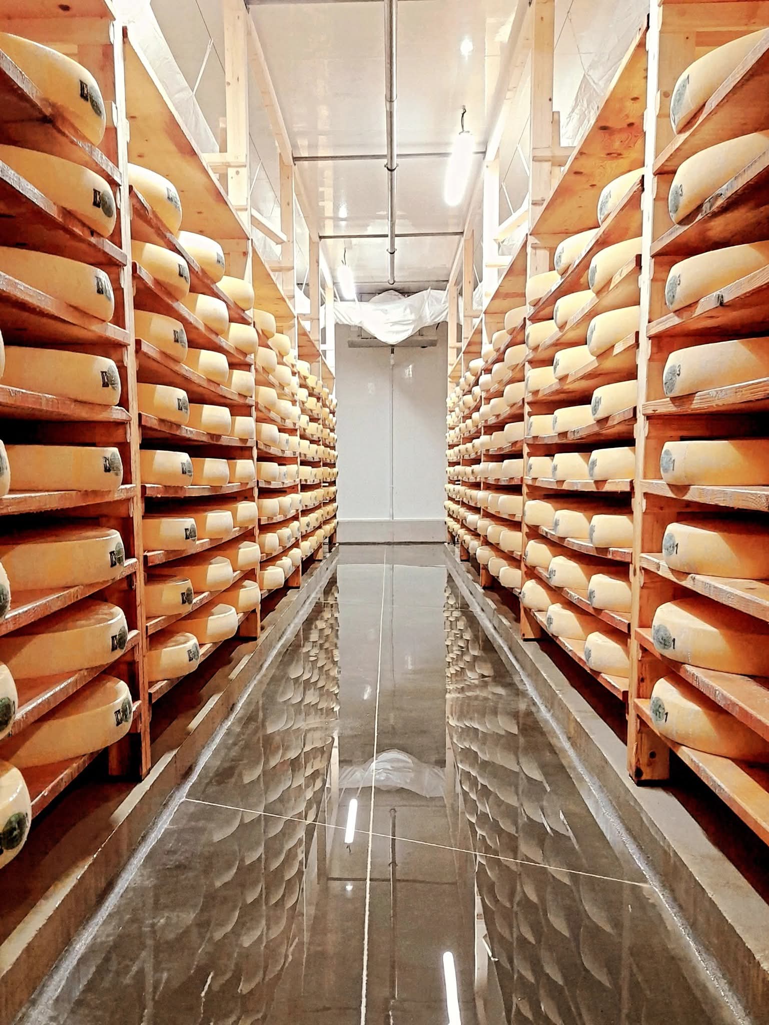 Visite de la fruitière à Comté du Pays de Courbet