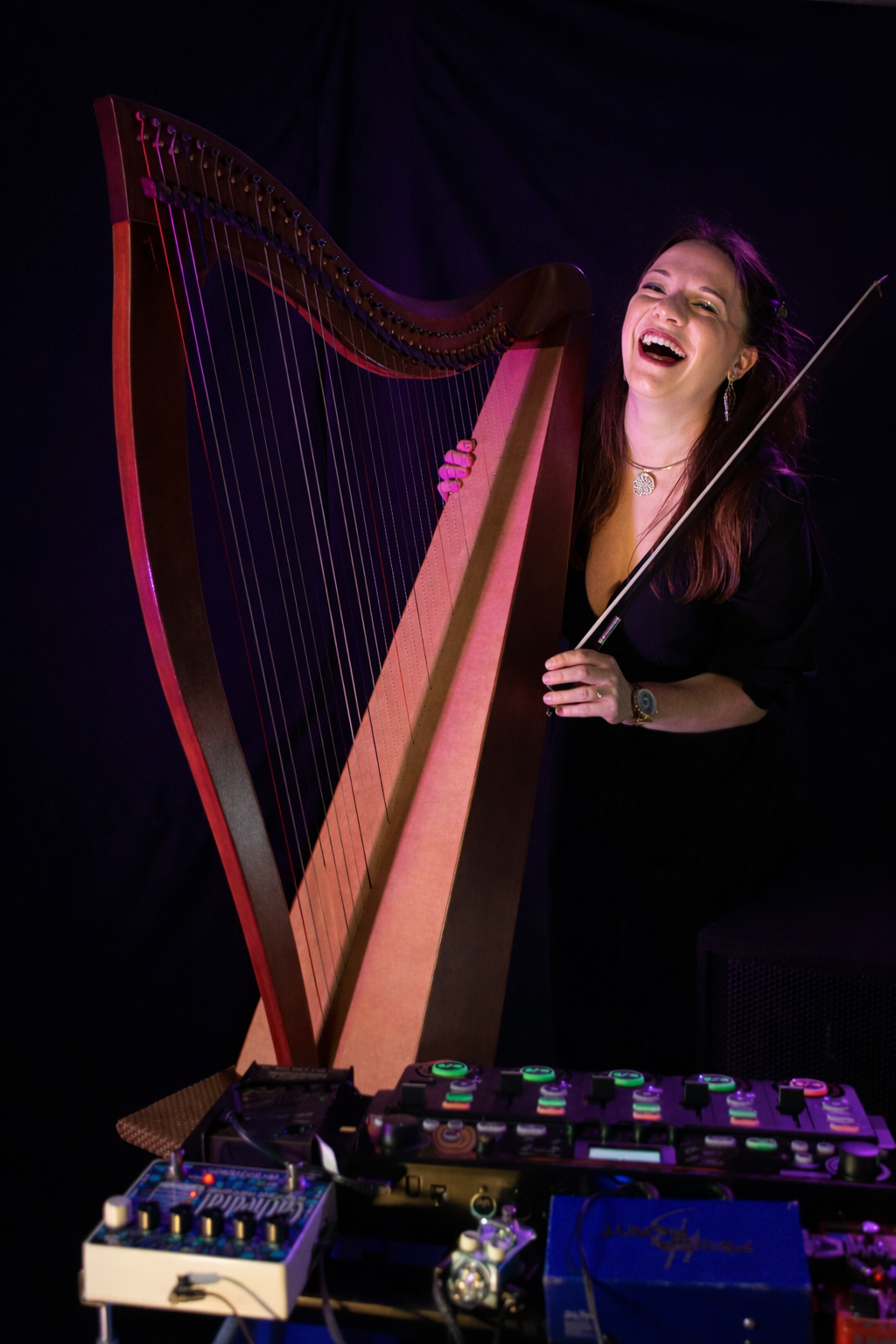 Concert de Cécile Branche (harpiste et chants Celtiques) / Festival Gospel et de Musiques du Monde des Ripailles du Pont du Diable