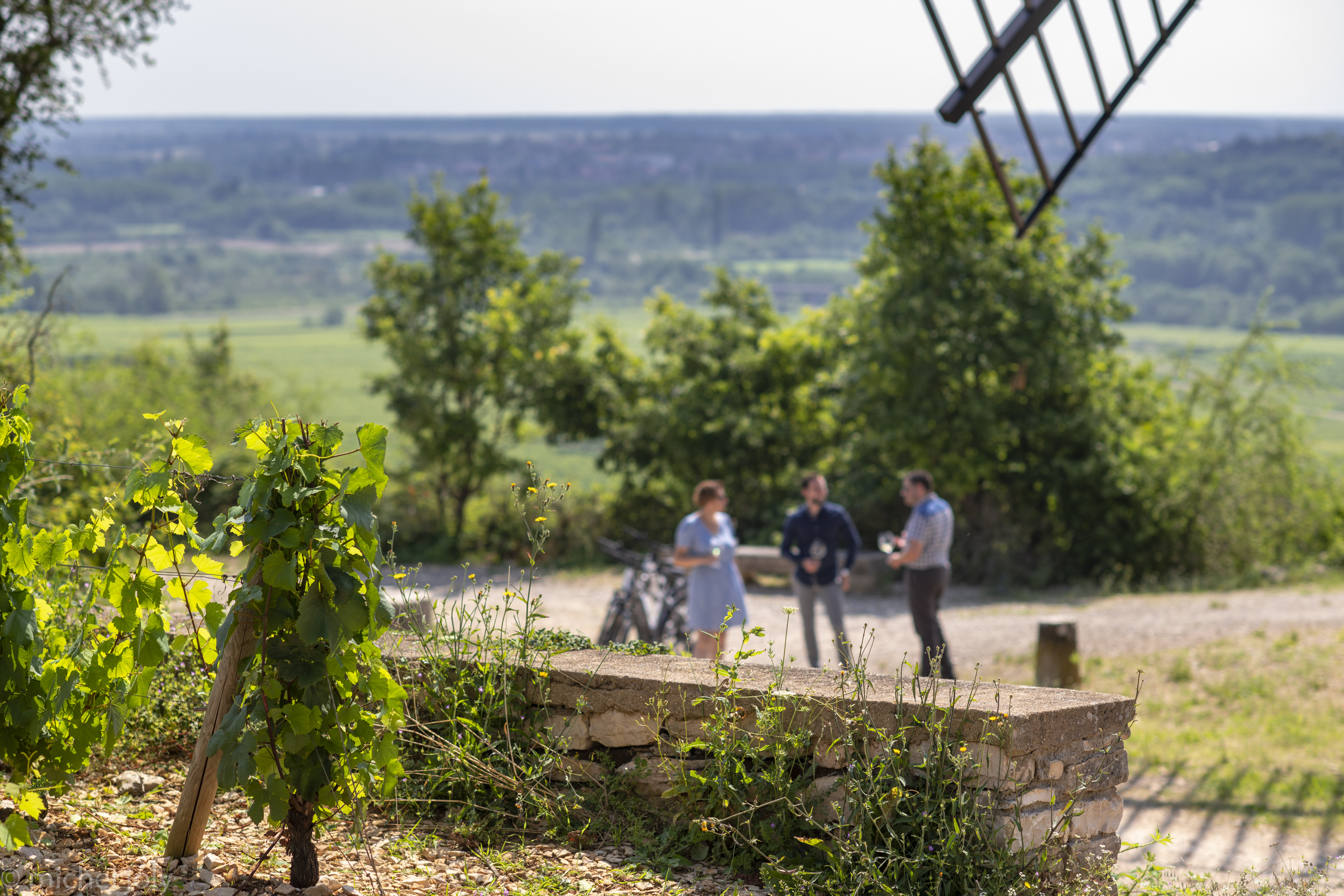 Moulin Sorine (Santenay)  Turismo en Beaune y su región - Borgoña