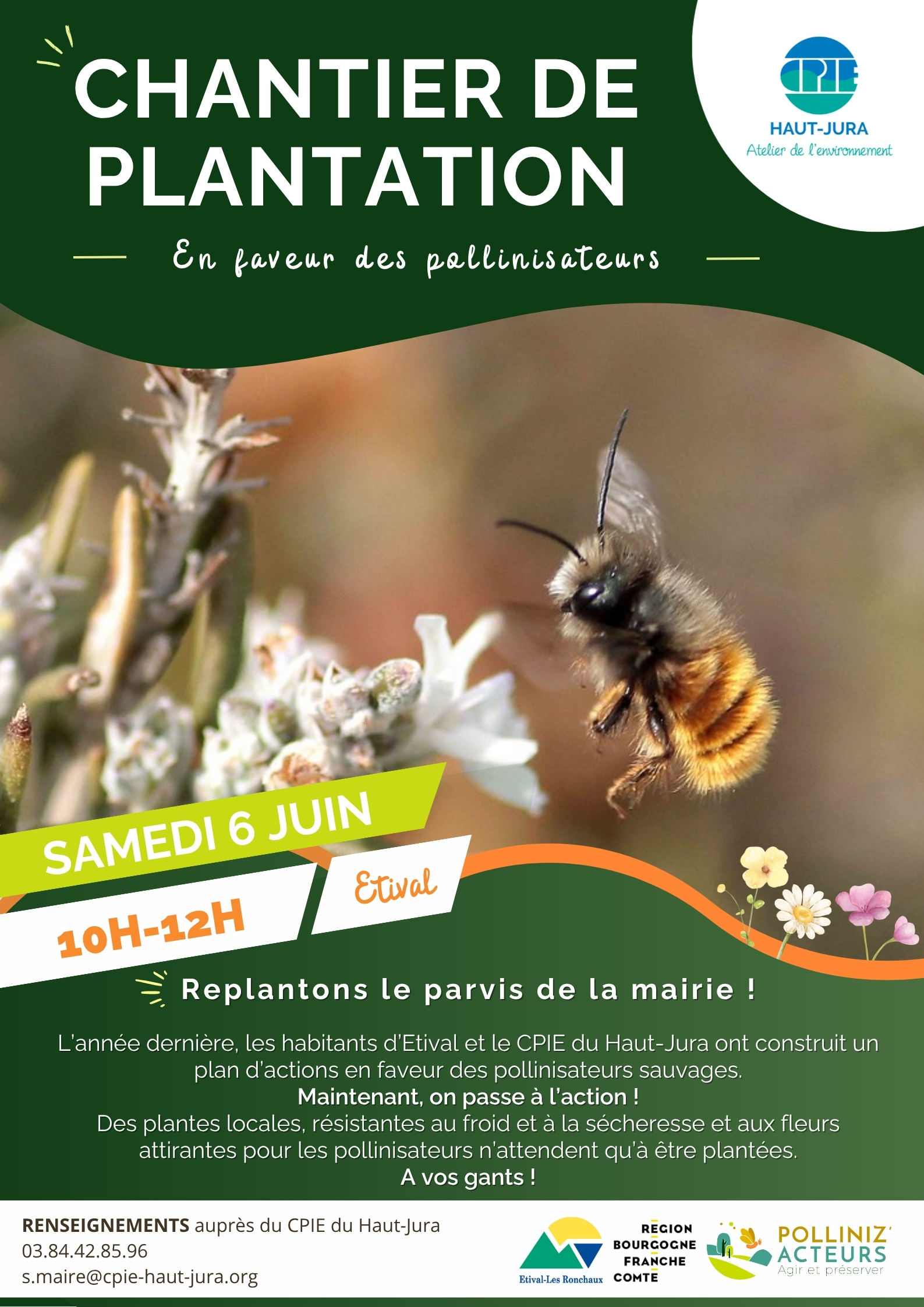Chantier de plantation en faveur des pollinisateur