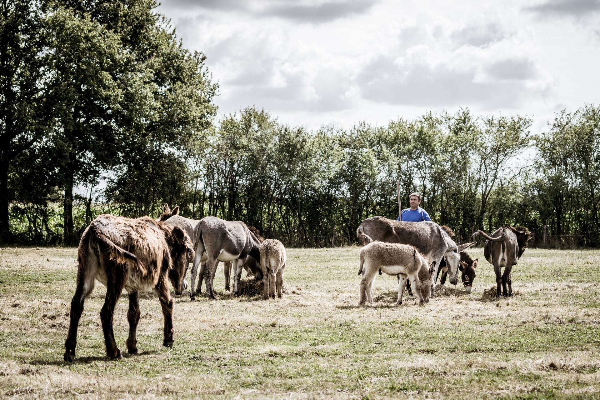 De ferme en ferme - La Charrette Bleue - n°37