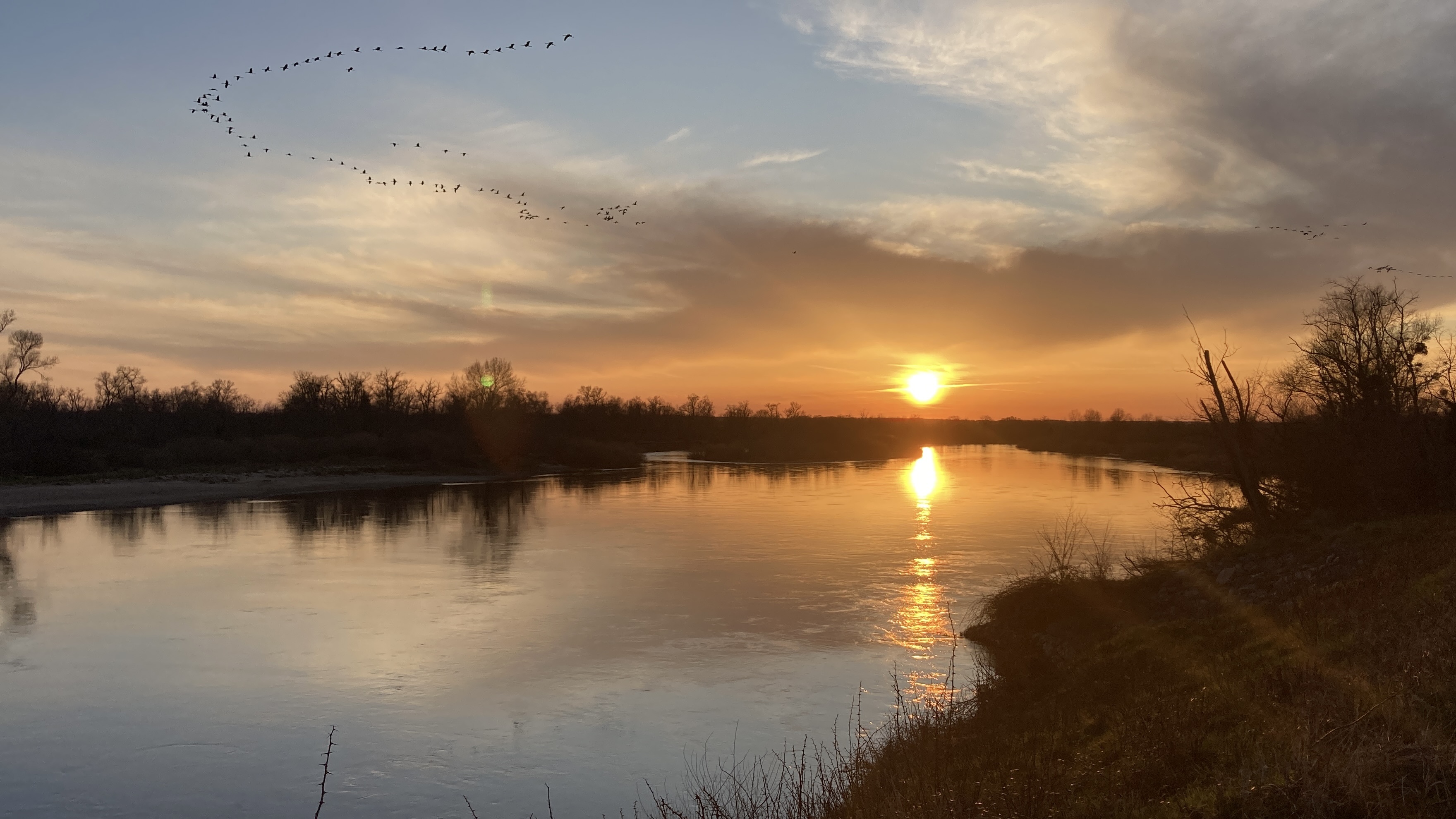 Panorama sur la Loire, Charrin - photo 3