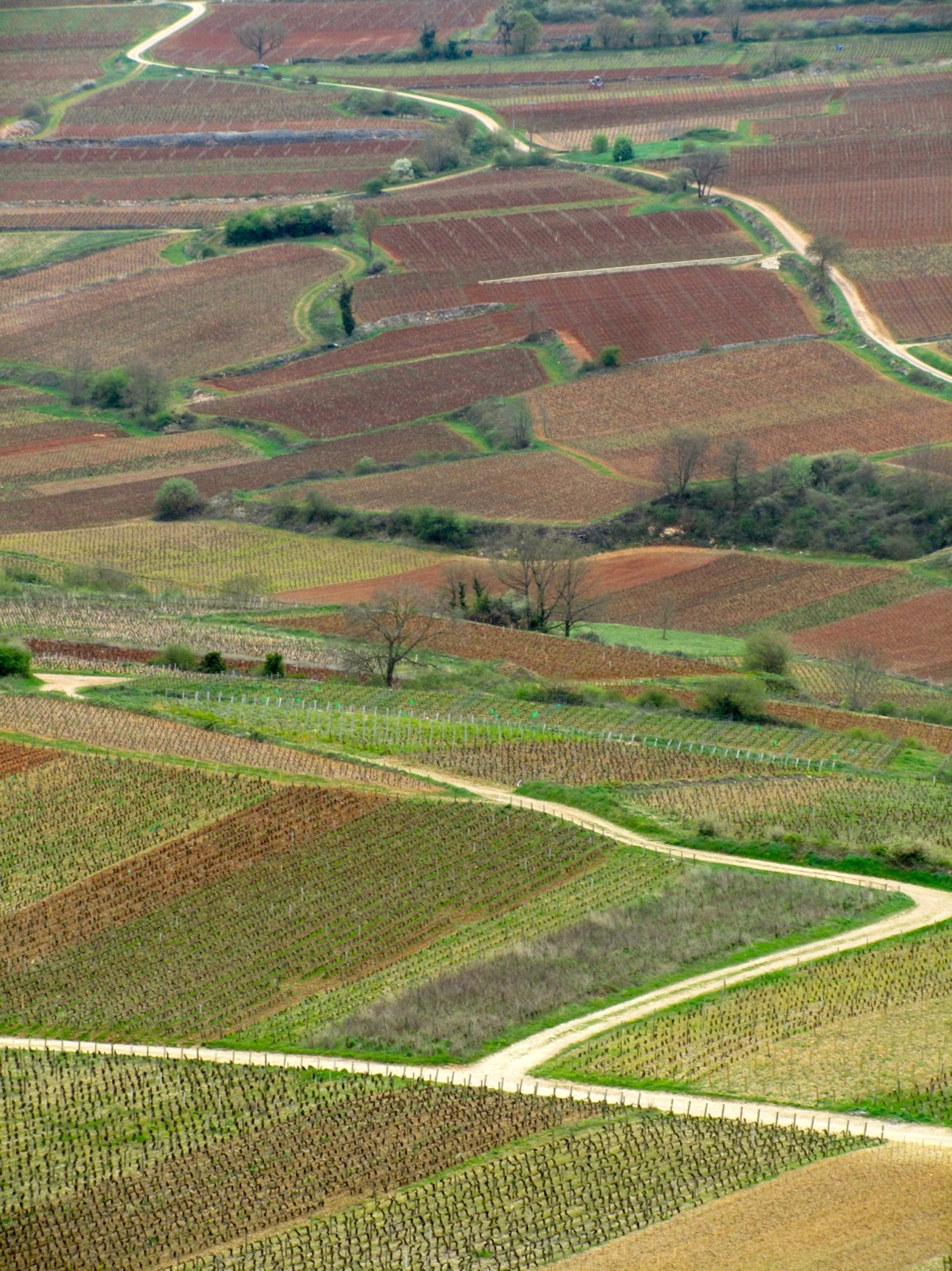 Le vignoble de Bourgogne