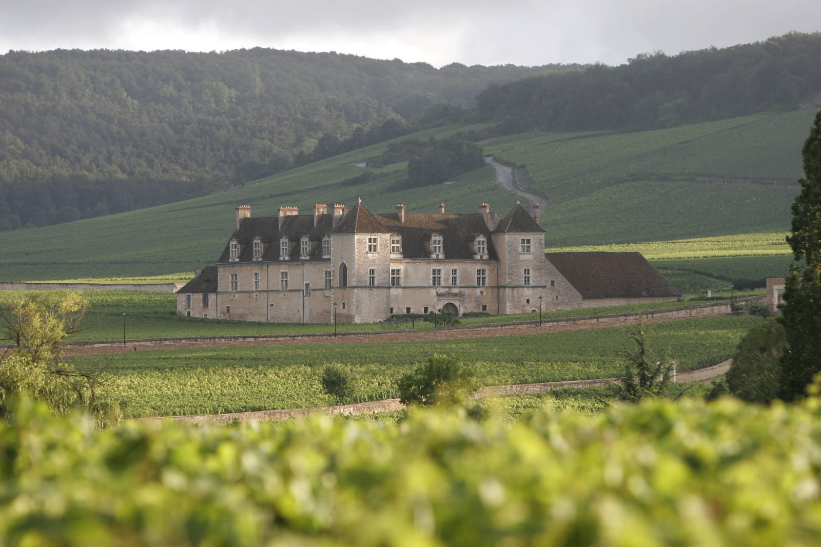 Château du Clos de Vougeot 