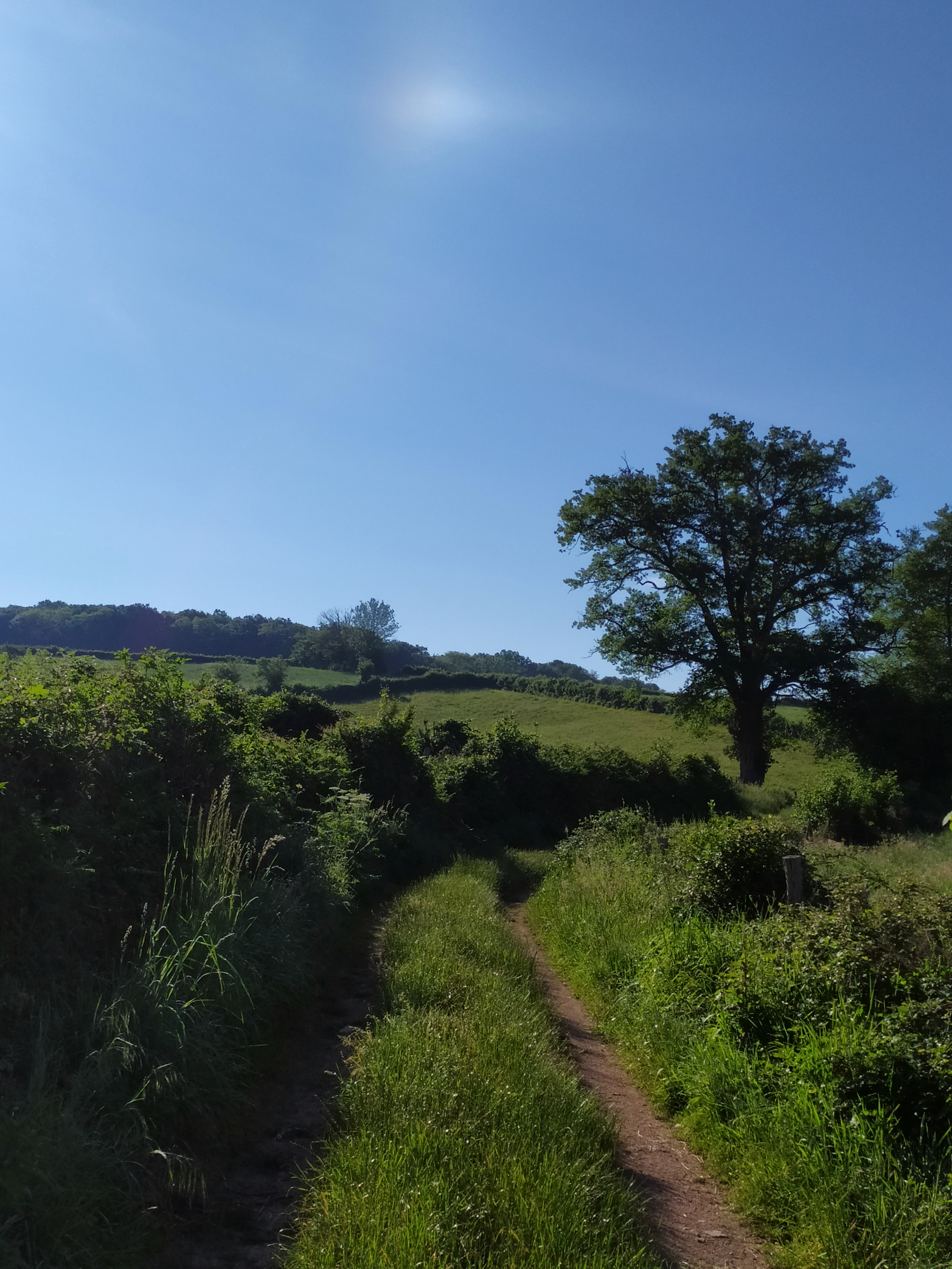 Le sentier de la Maison des Hommes et des Paysages - Vendredi 31 juillet