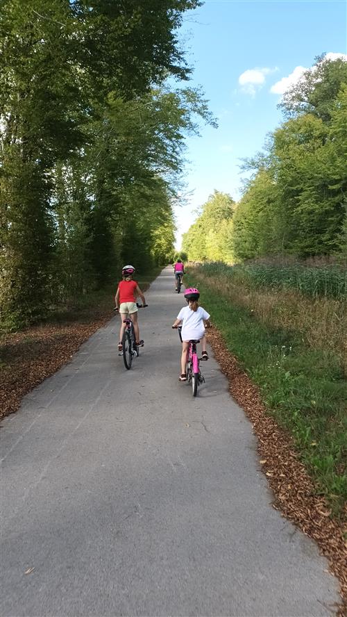 Voie verte  : le chemin vert
