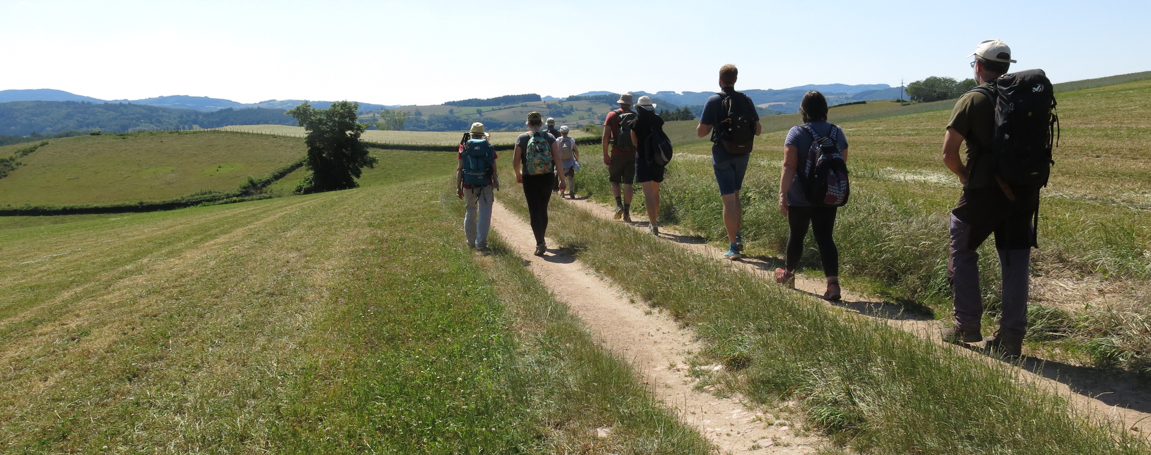Chemins du Mâconnais & Clunysois, randonnée, groupe, nature, guide