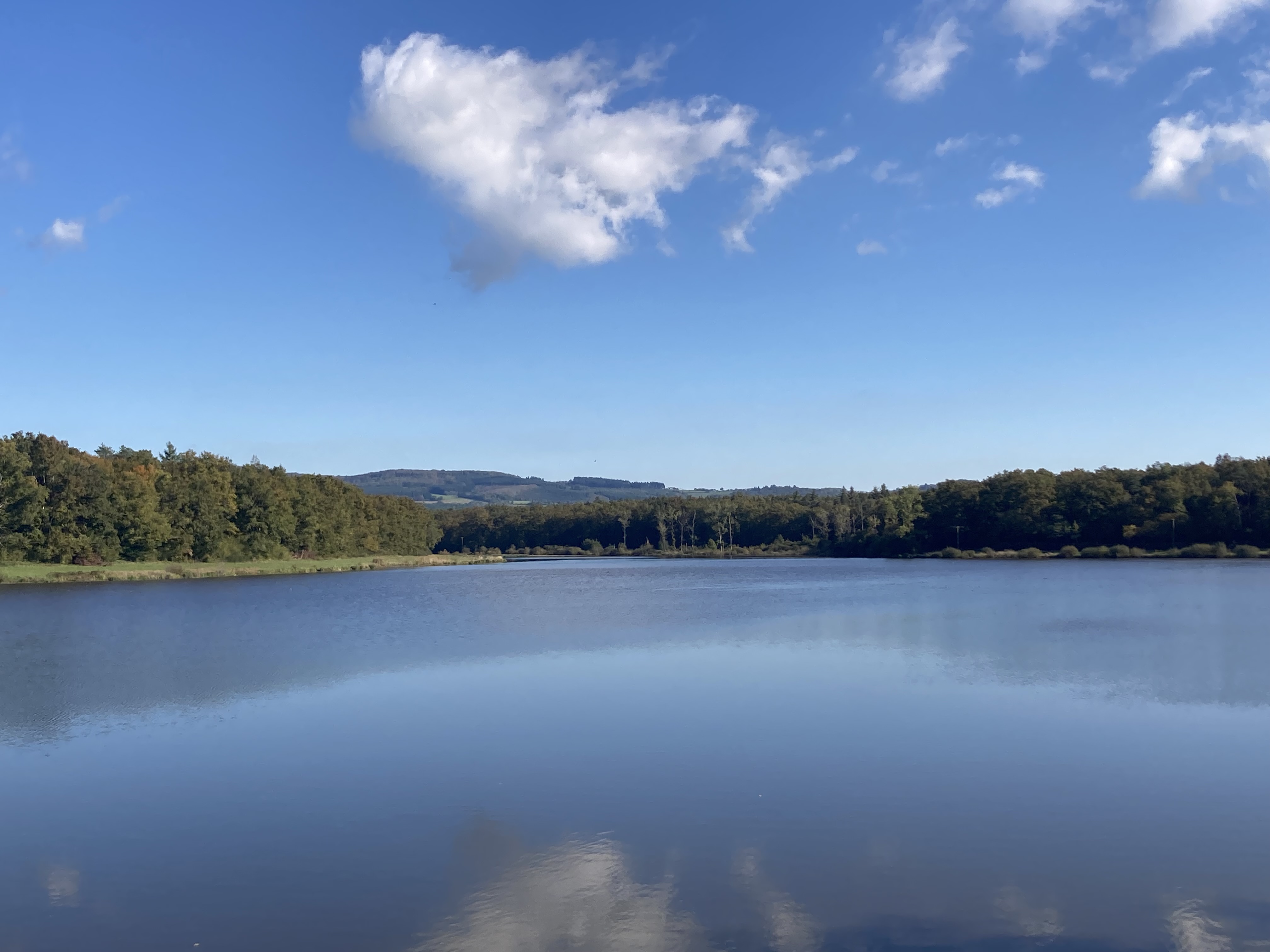Etang de Chèvres, Vandenesse - photo 4