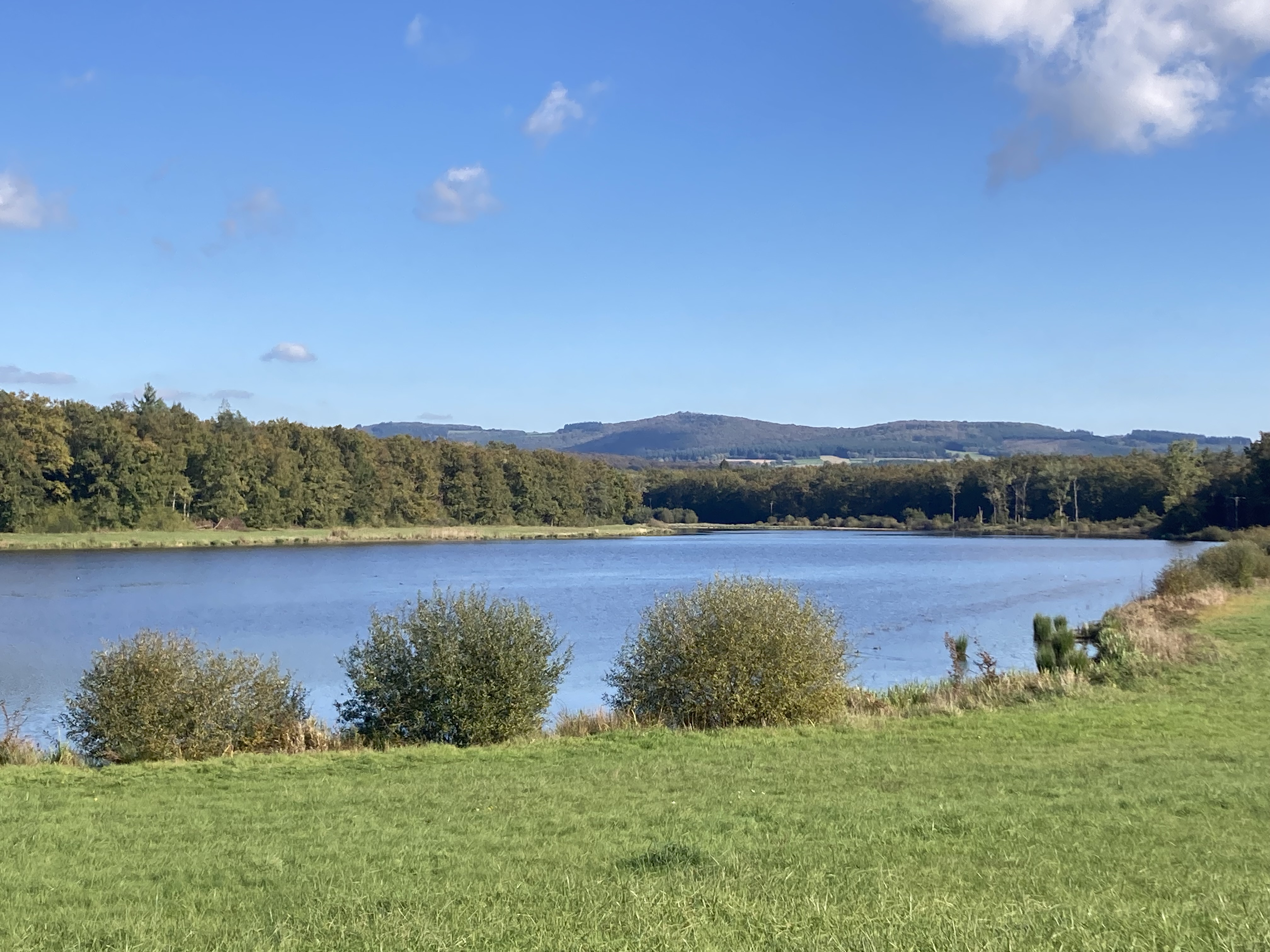 Etang de Chèvres, Vandenesse - photo 3