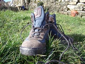 Marche en pleine nature  