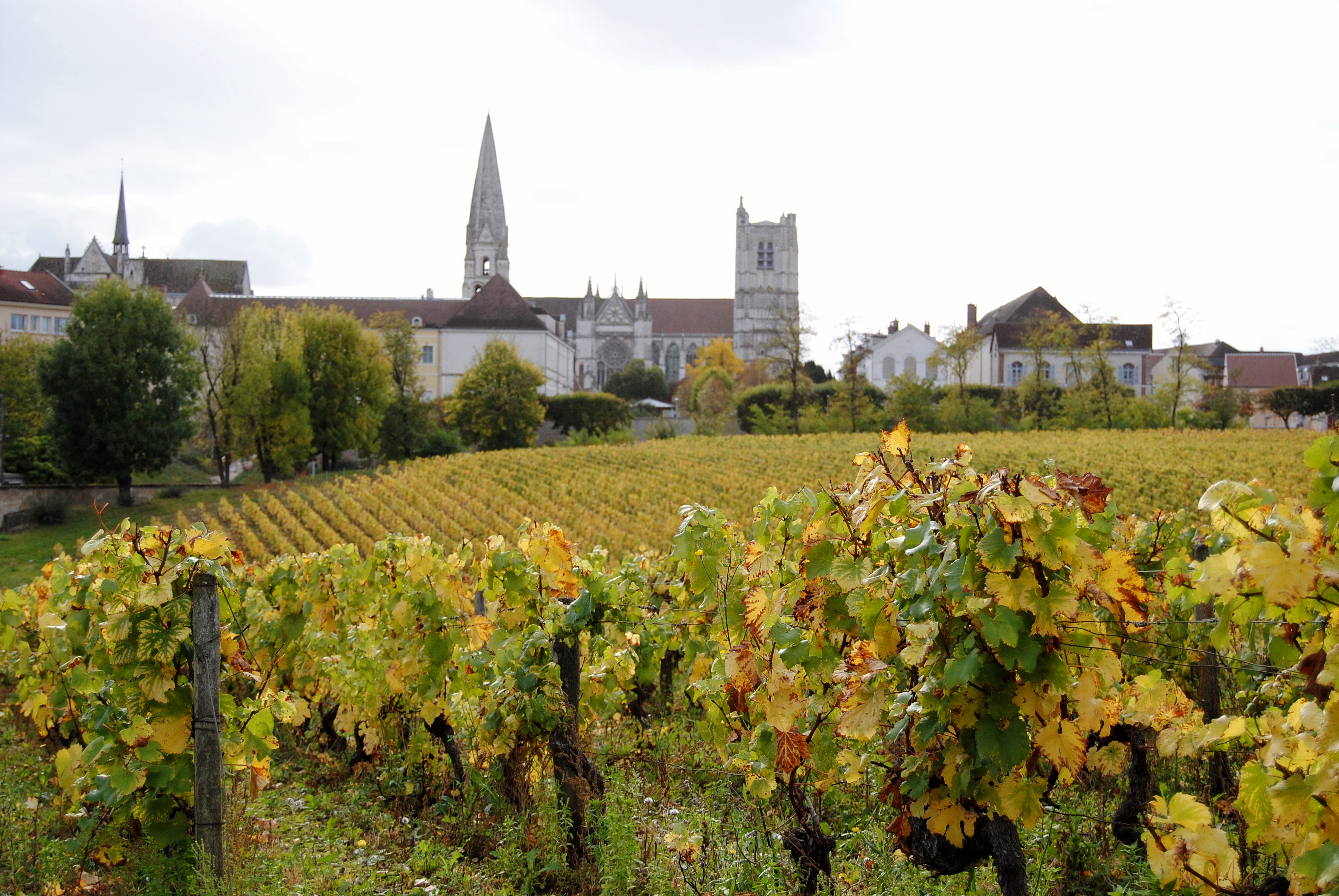 Clos de la chaînette   