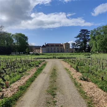 Château de Meursault - Dégustation 