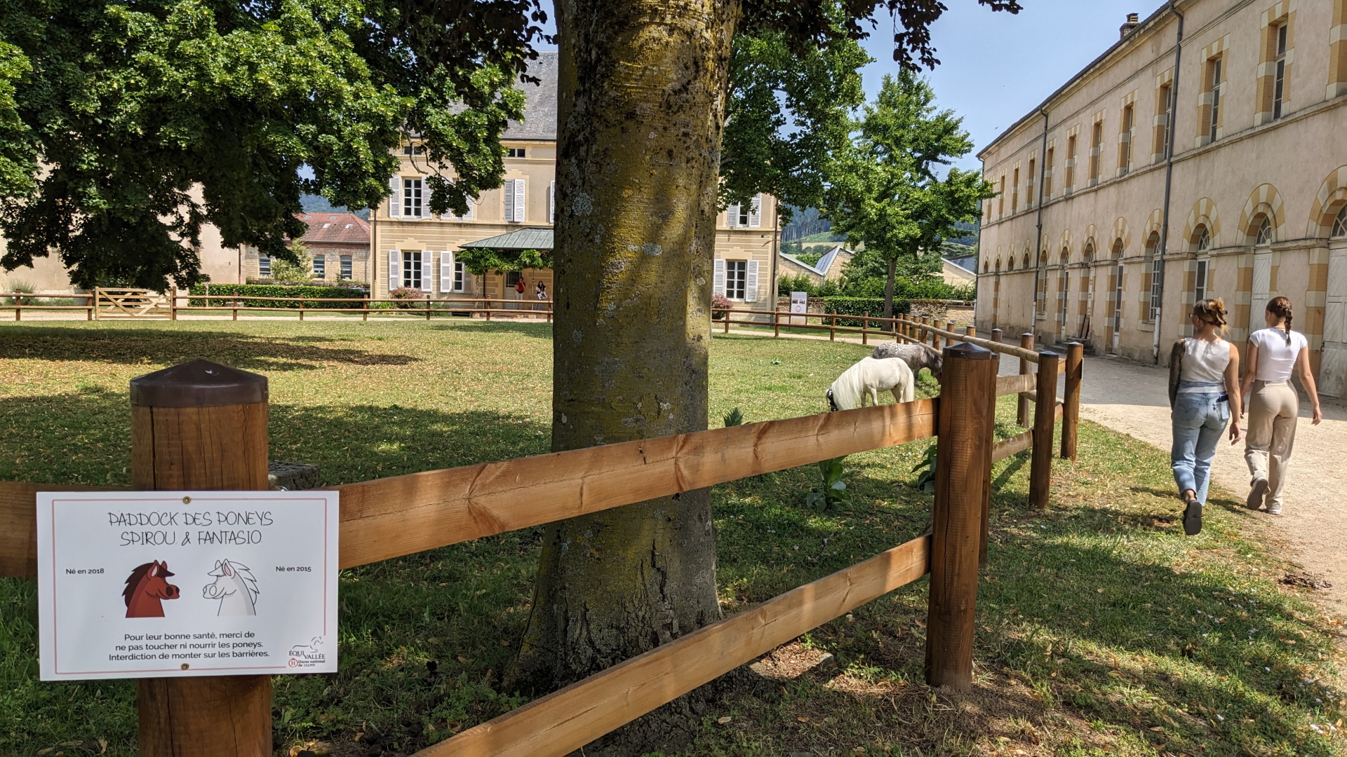 Cluny _ Haras National de Cluny Sud Bourgogne 