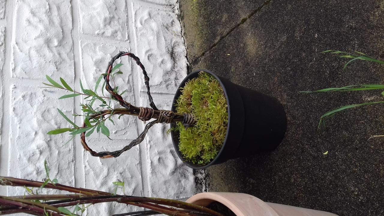 Stage de vannerie "Hiver et Printemps", Decize - photo 4