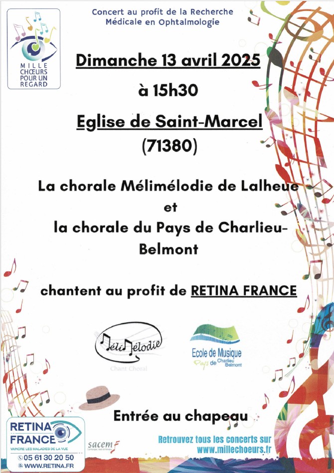 Affiche concert RETINA