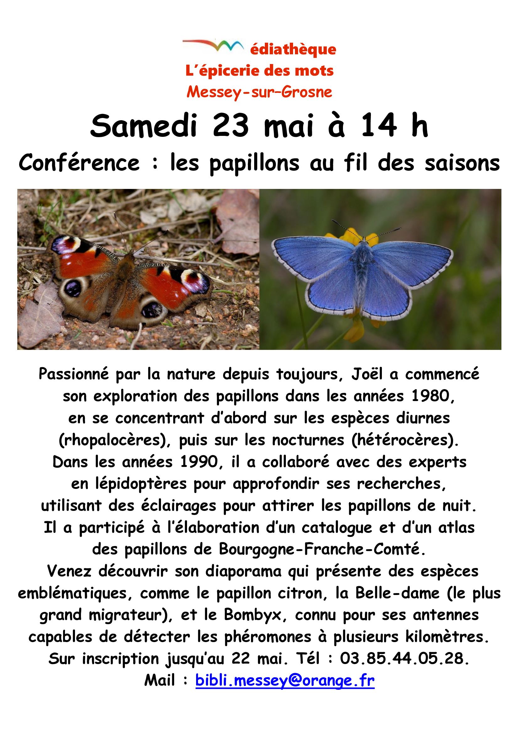 Conférence : Les papillons au fil des saisons