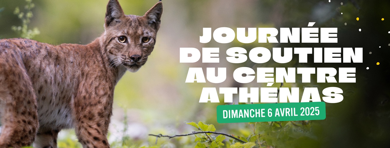Conférence expo lynx Ste Marie 06.04.25