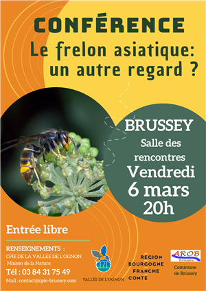Conférence : Le frelon asiatique, un autre regard ?