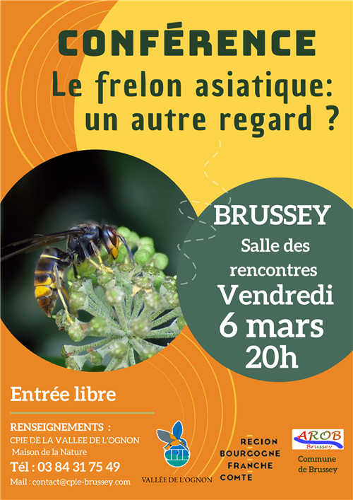 Conf&eacute;rence : Le frelon asiatique, un autre regard ?