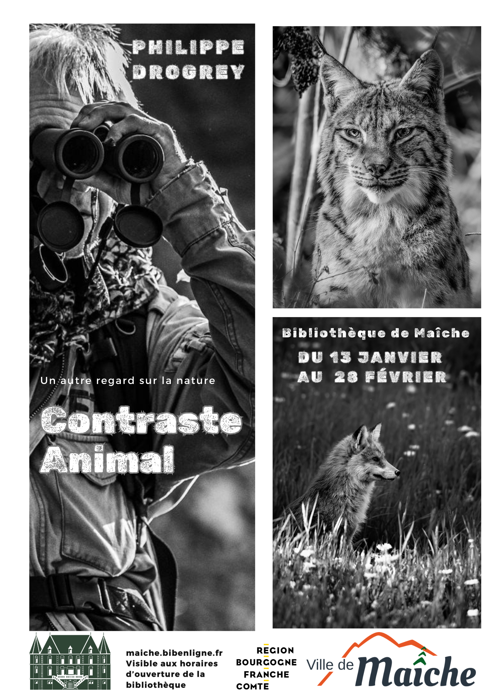 Contraste Animal - Affiche