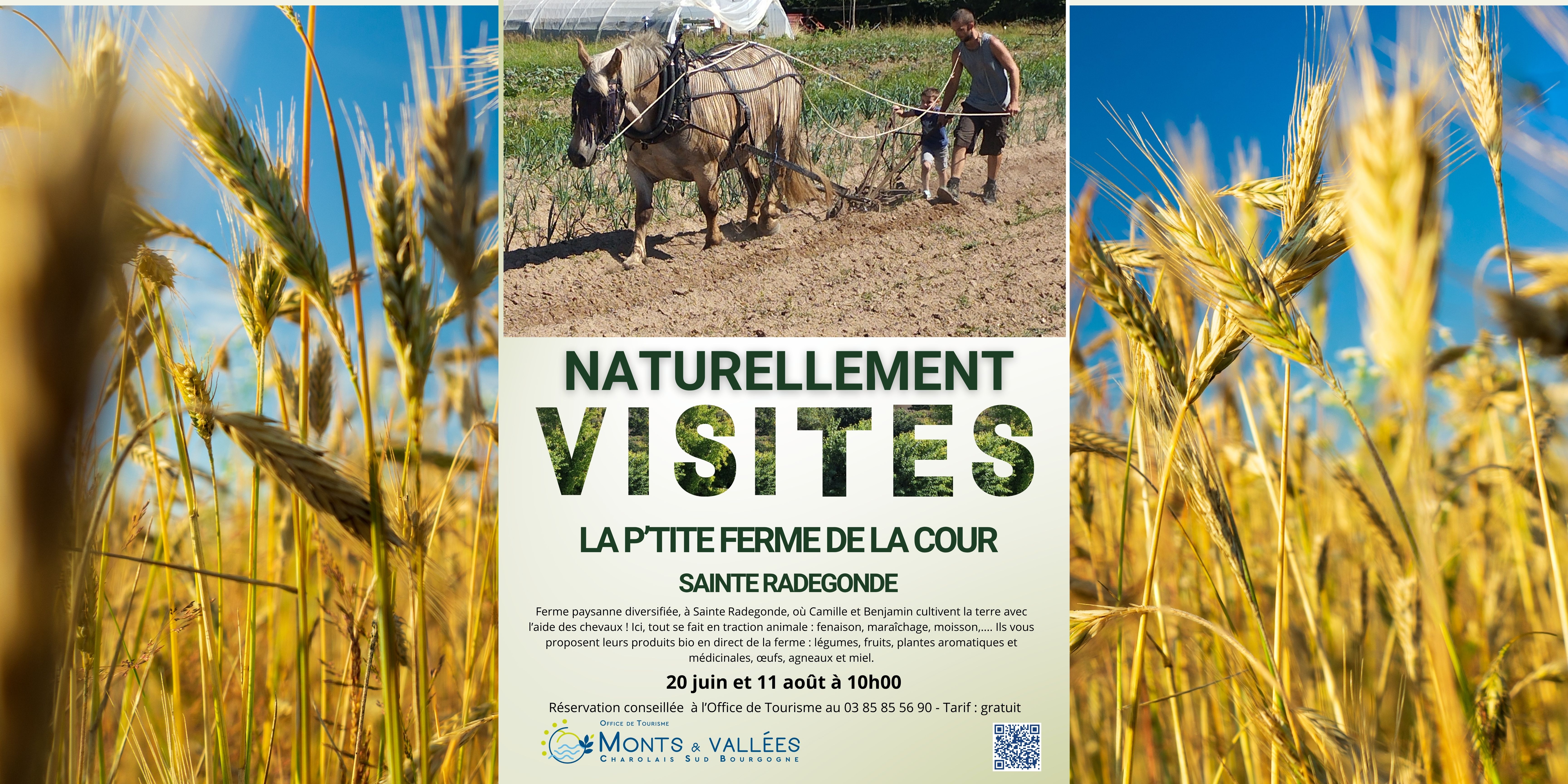 Naturellement visites : visites de la p'tite ferme de la cour