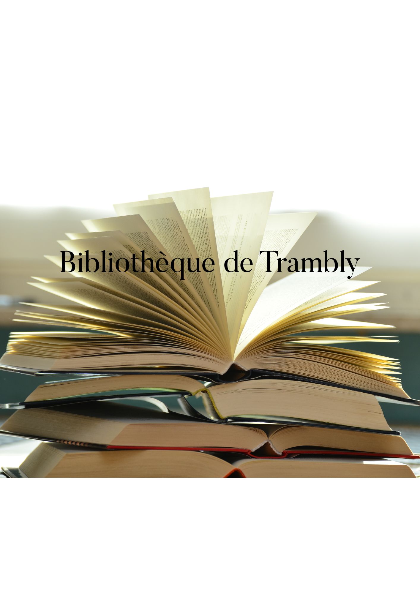 Bibliothèque de Trambly hors les murs