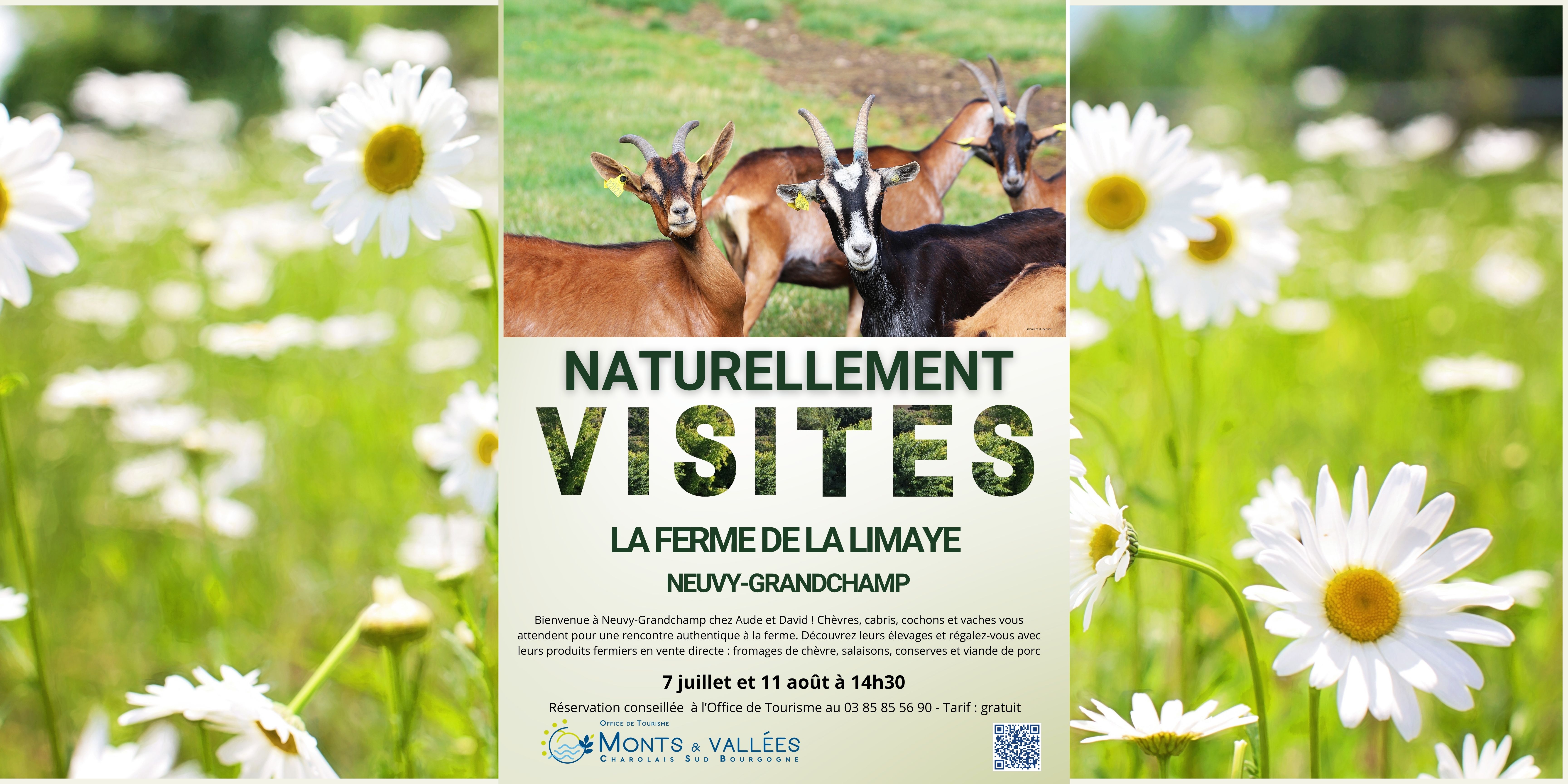 Naturellement visites : visites de la ferme de la Limaye