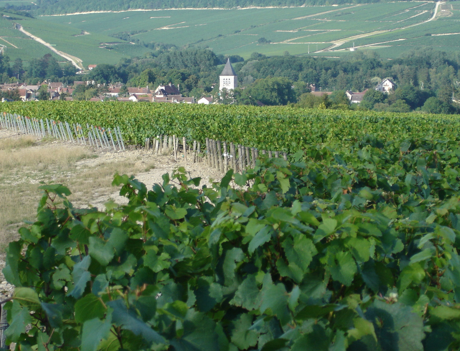 Les 7 Grand Crus