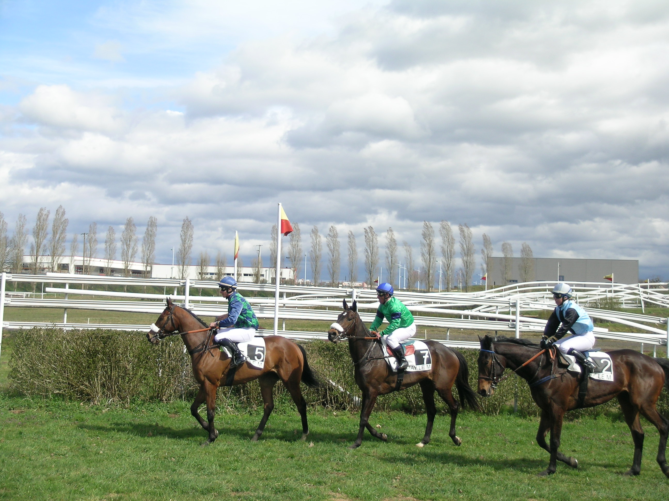 Courses hippiques à l'hippodrome