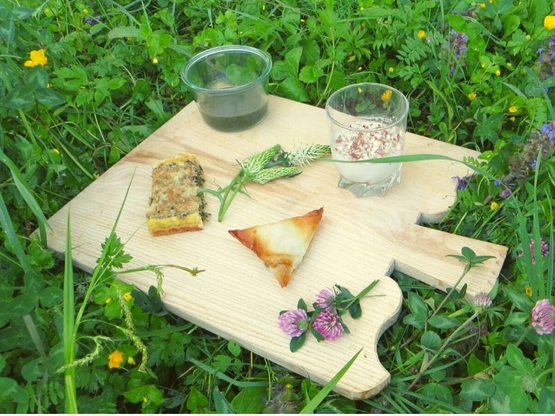 Cueillette et cuisine des plantes sauvages d’été