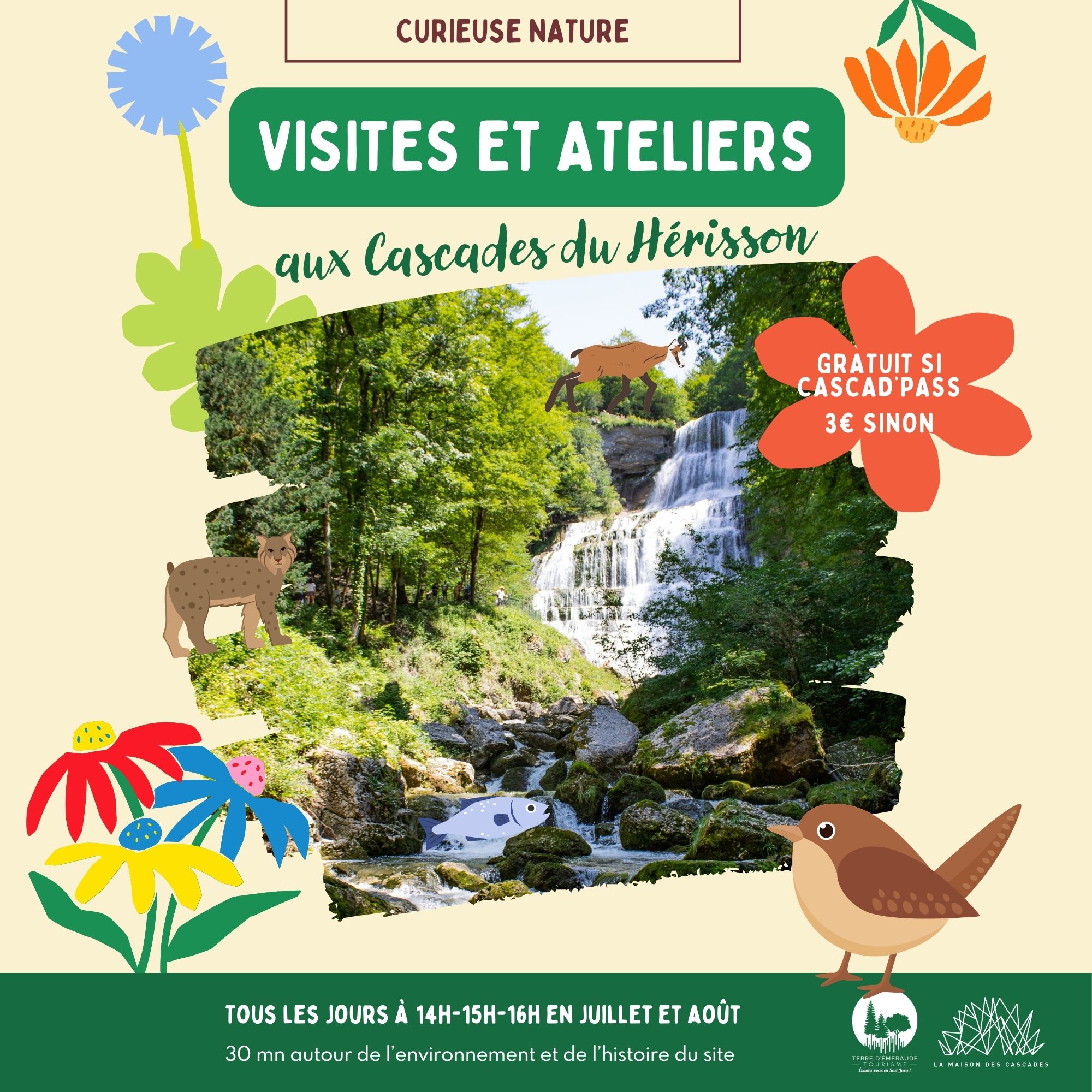 AFFICHES ANIMATIONS CASCADES DU HÉRISSON (42 x 42 cm) - Curieuse nature