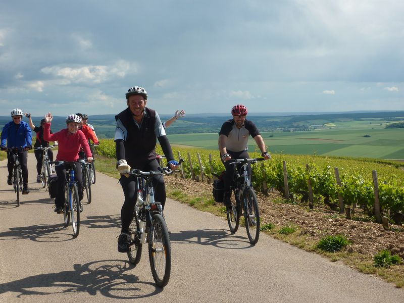Cyclistes vigne France à vélo