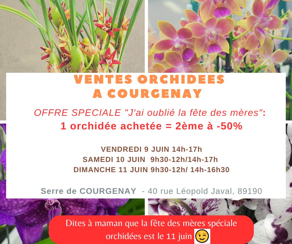Les orchidées de Courgenay 