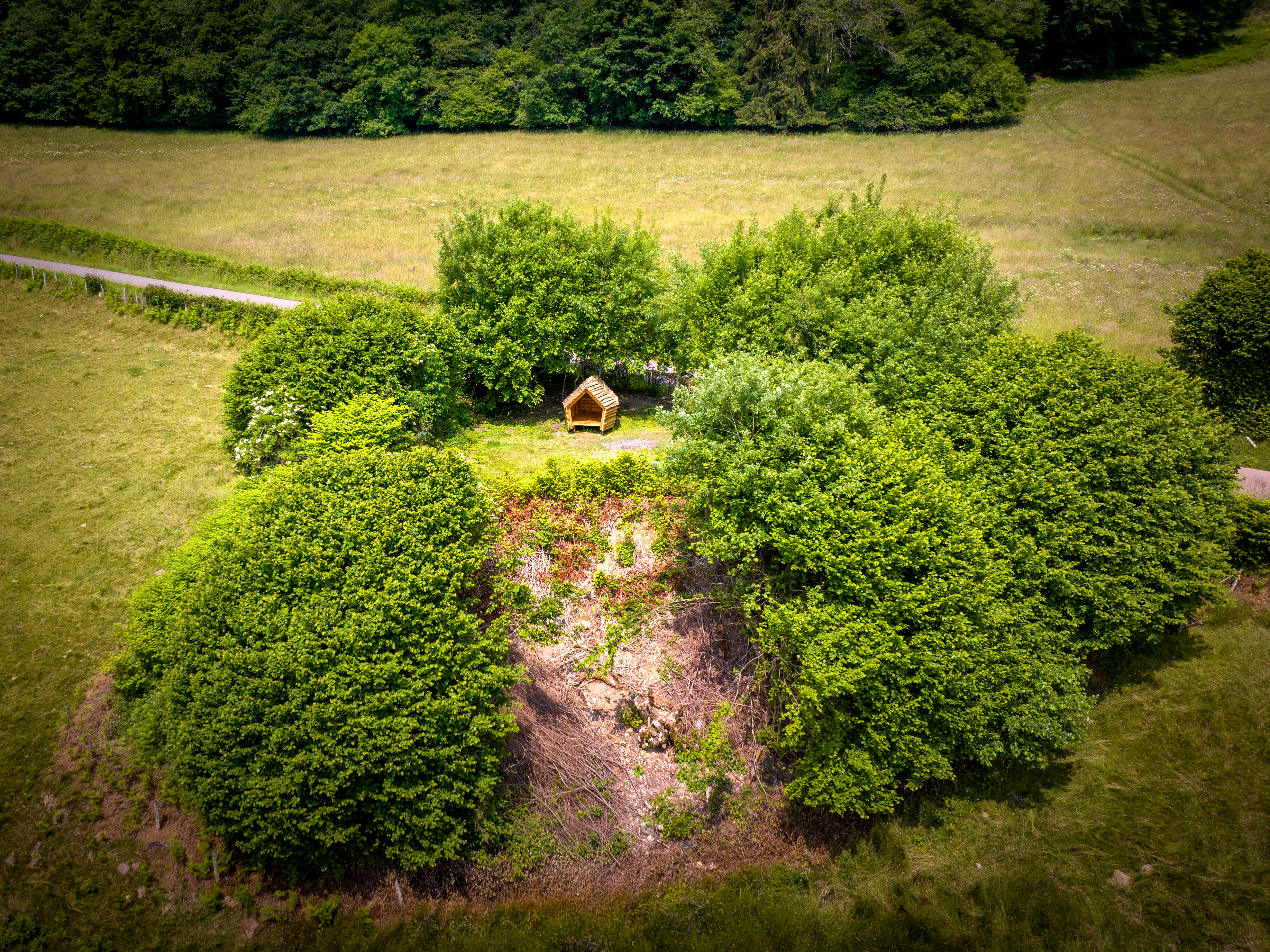 Aire d'éco-bivouac, Glux-en-Glenne - photo 6