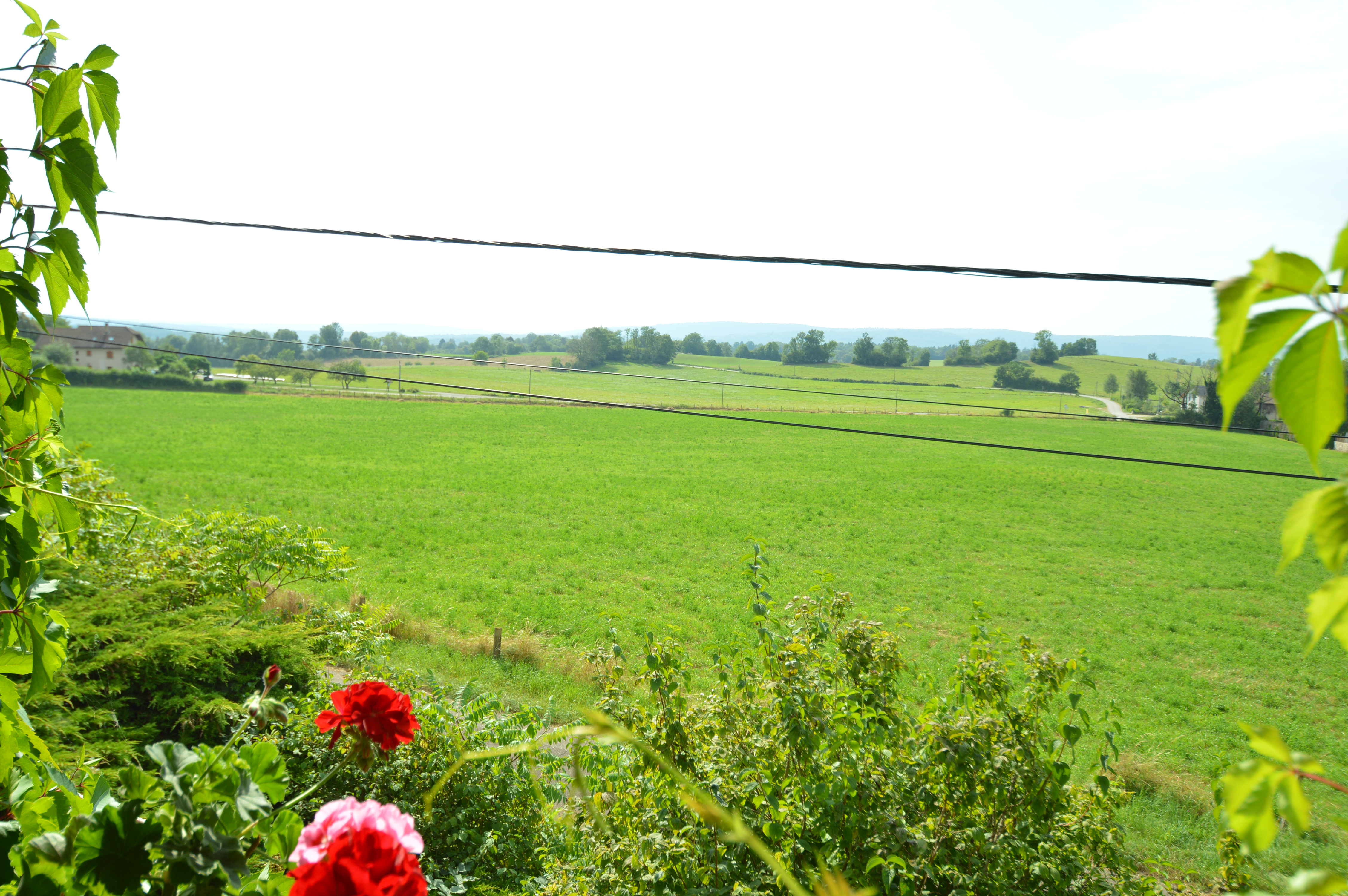 Au champ cailloux - photo 4