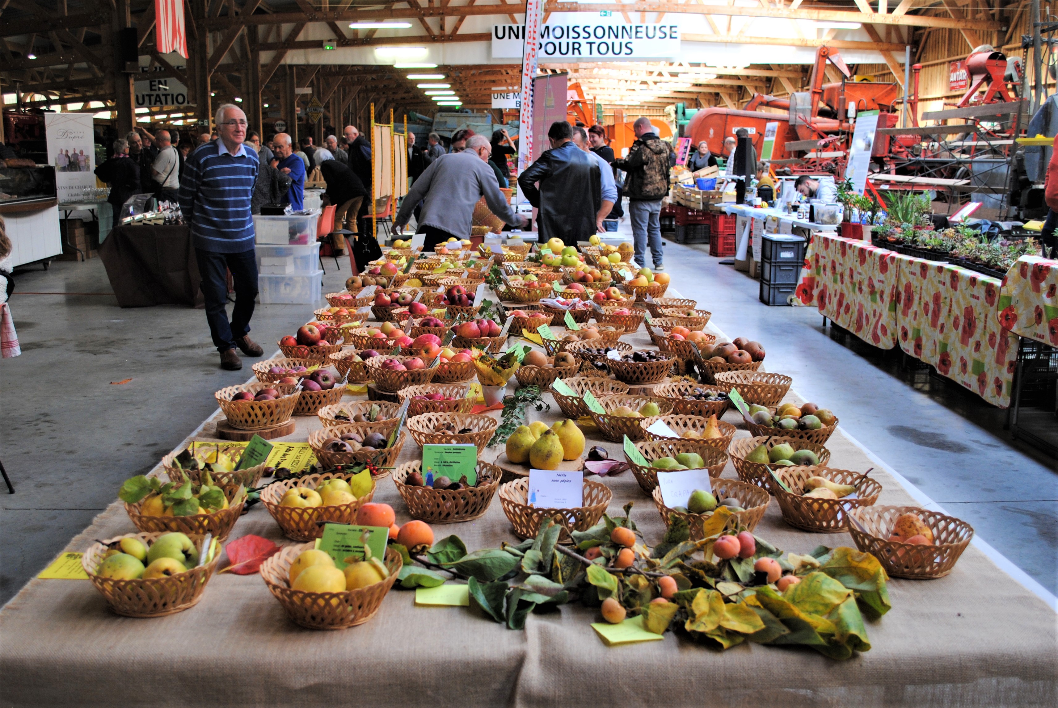 Marché du Terroir et Randonnée Octobre Rose à Saint-Loup-des-Bois