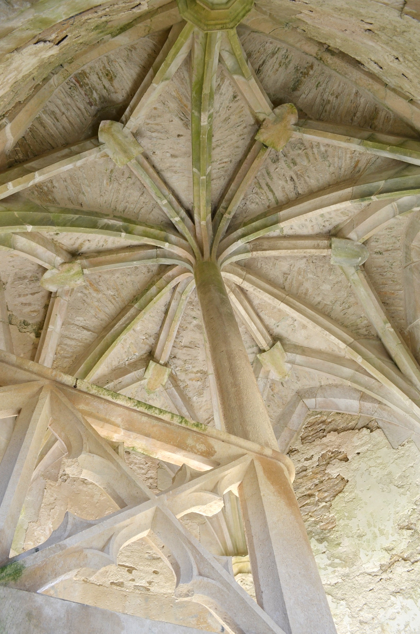 voûte étoilée tour nord logis seigneurial