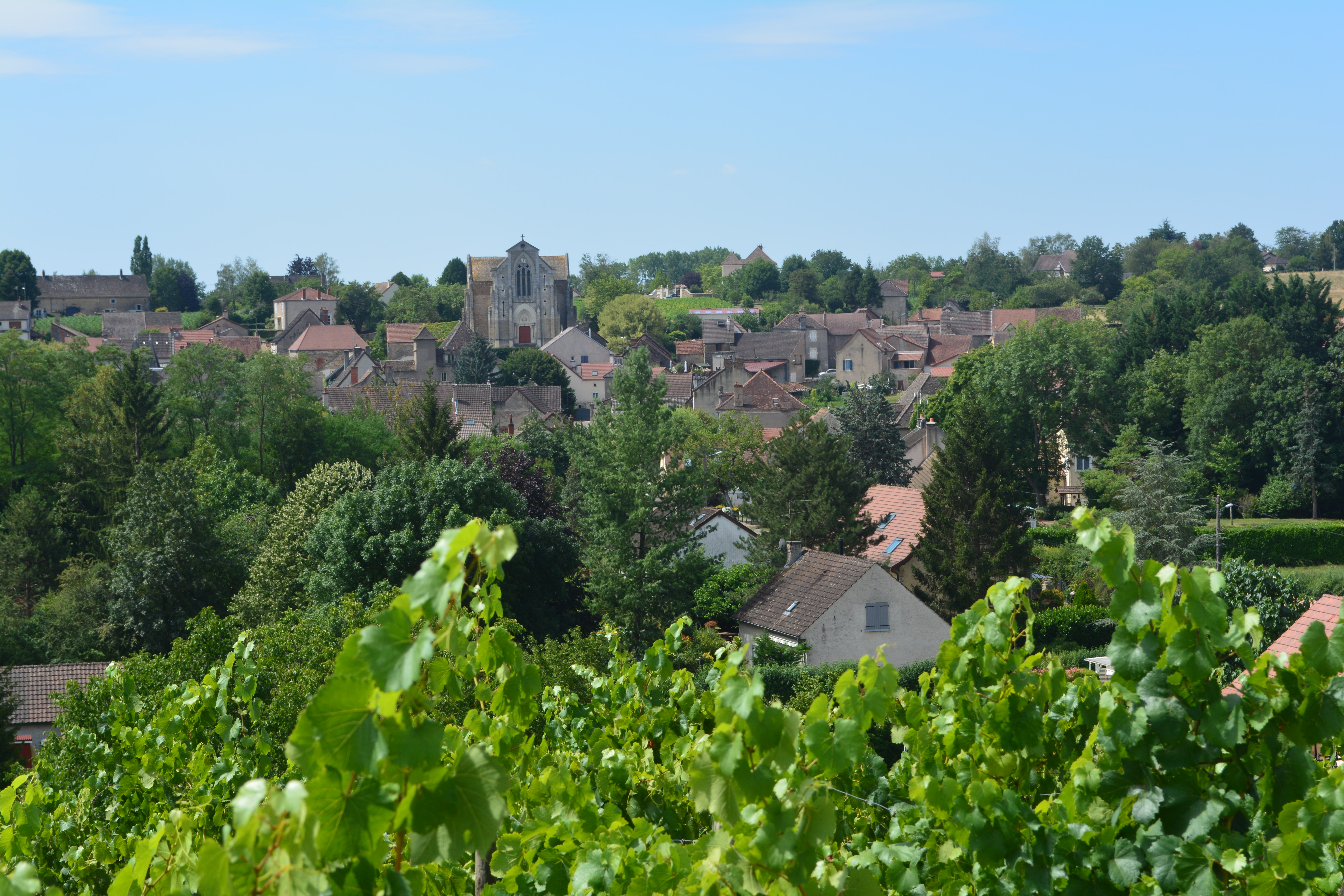 DSC_0213 (7)