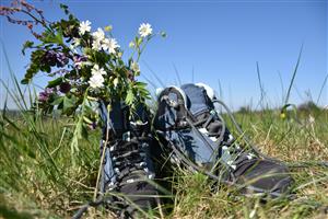 Randonnée " Flore printanière" au départ de Montboillon