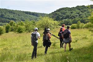 Randonnée "Les merveilles du Vallon de Fontenelay"
