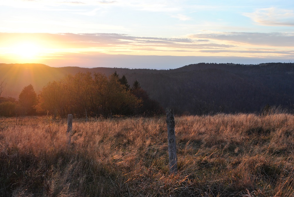 Sous les étoiles du Ballon d'Alsace