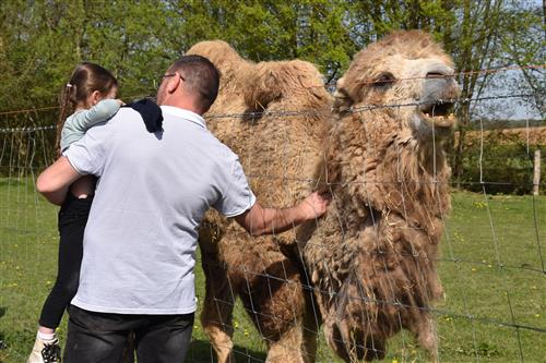 La Petite Ferme du Paradis
