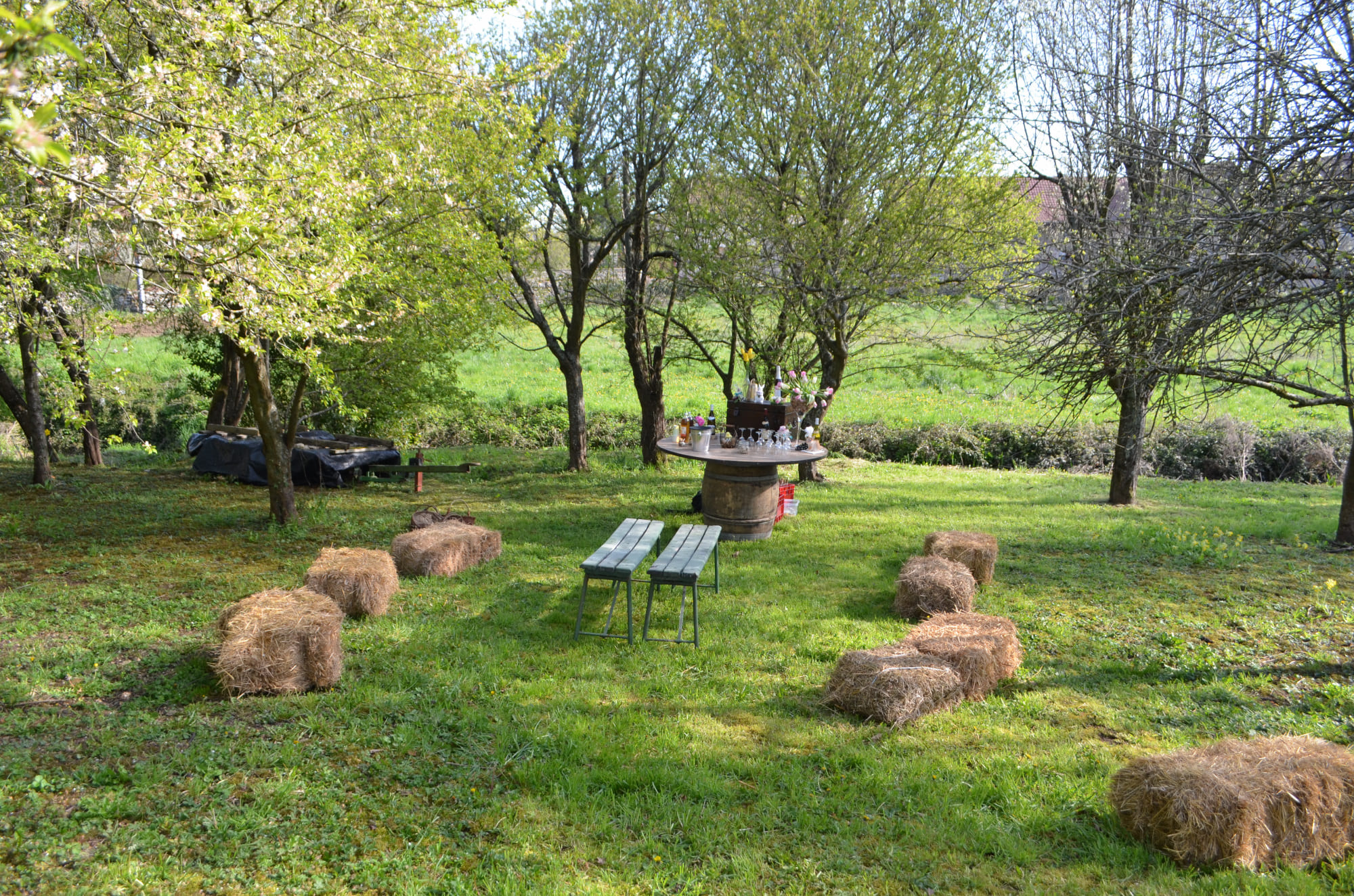 Chasse aux oeufs